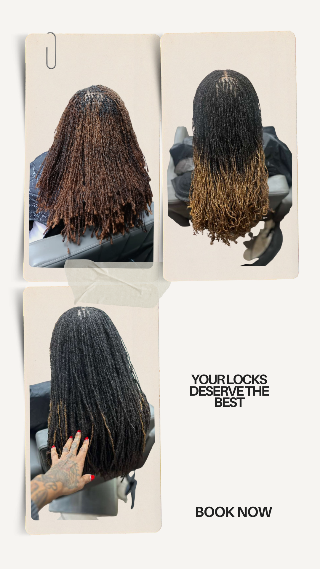 Experience the Beauty of Healthy, Vibrant Locs